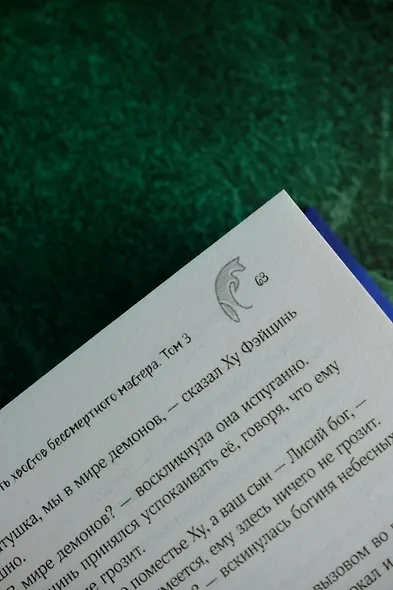 Девять хвостов бессмертного мастера. Том 3 - фото 10