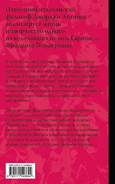 Безумие Гёльдерлина. Жизнь, поделенная надвое - фото 2