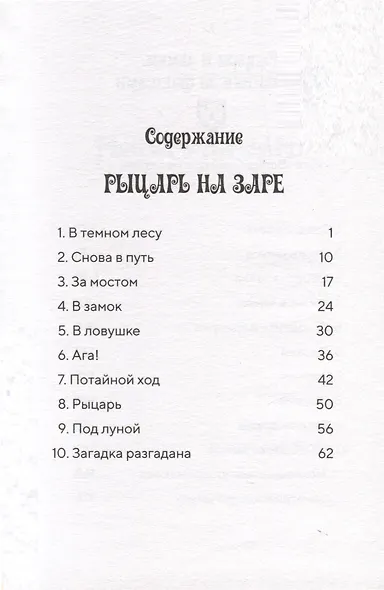 Рыцарь на заре - фото 3