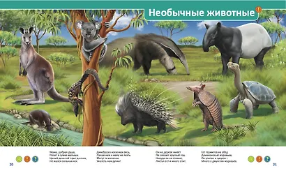 Эти удивительные животные - фото 3