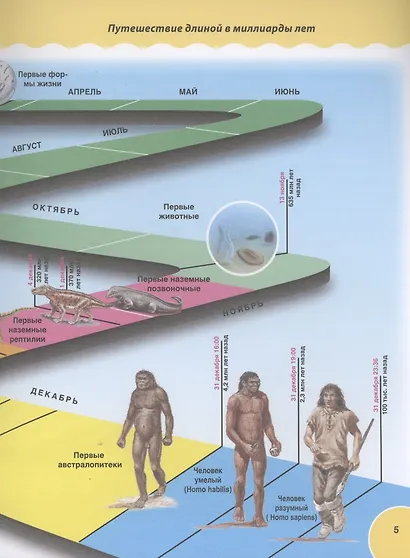 Динозавры. Детская иллюстрированная энциклопедия - фото 5
