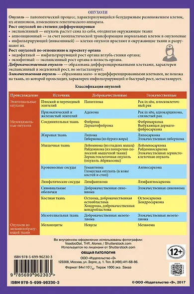 Общая патология - фото 2