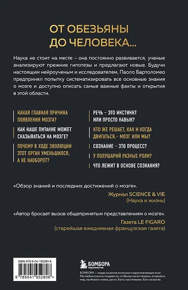 Достижения мозга. Как этот орган стал самой сложной и влиятельной частью тела человека - фото 2