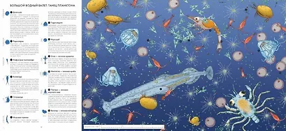 Живой мир под микроскопом - фото 5