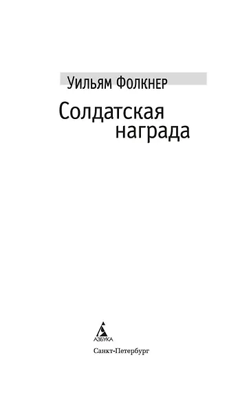 Солдатская награда - фото 7