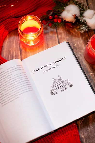 Однажды темной зимней ночью... - фото 8