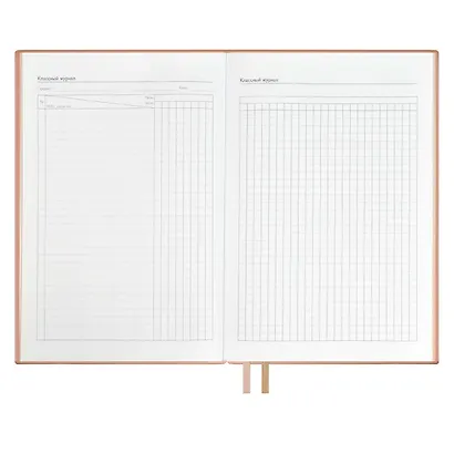 Ежедневник учителя А5 160л "ШЕВРЕТ РОЗОВЫЙ" кожзам, блинт.тисн., цветн.срез, два ляссе, закладка из иск.кожи - фото 14