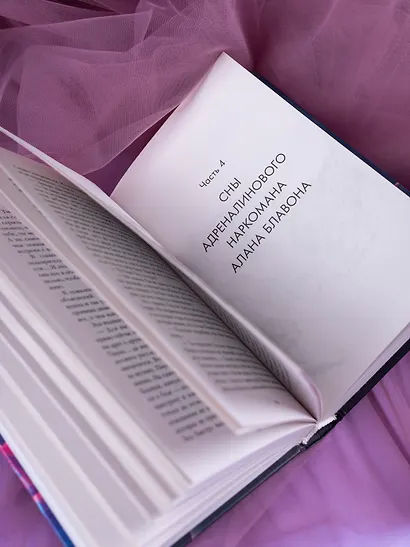 Семь снов Эльфины Рейн - фото 11