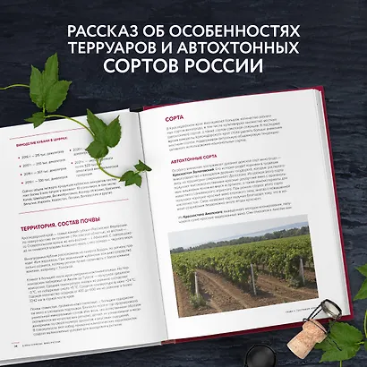Вино России. История, география, выбор - фото 6