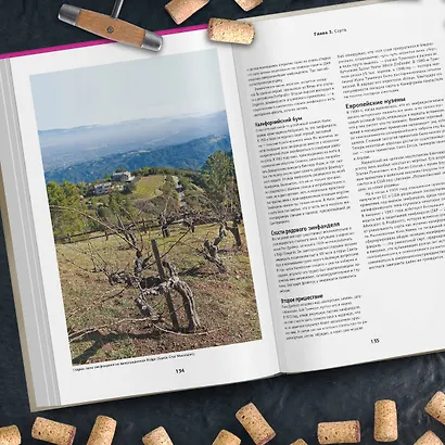 Просто о лучших винах. Новая энциклопедия. Издание 2-е, дополненное - фото 11