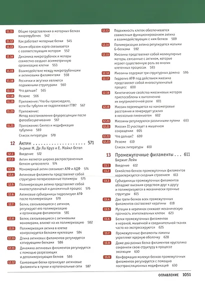 Клетки по Льюину - фото 13