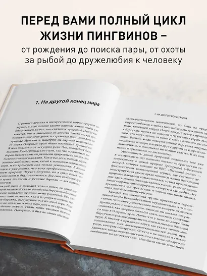 Год с пингвинами. Невероятная жизнь рядом с императорами Антарктиды - фото 5