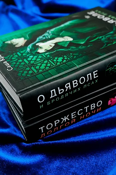 О дьяволе и бродячих псах - фото 12