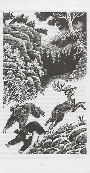 Медвежье озеро - фото 6