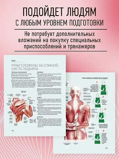 Анатомия растяжки. Иллюстрированное руководство для развития гибкости мышц и подвижности суставов - фото 7