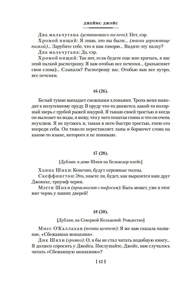 Дублинцы. Портрет художника в юности - фото 15