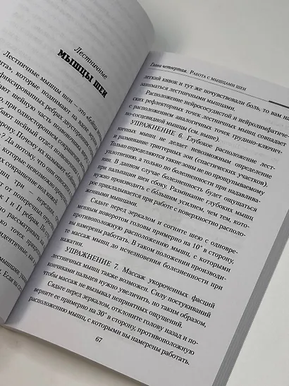 Практическая кинезиология. Упражнения для мышц-халтурщиц - фото 6