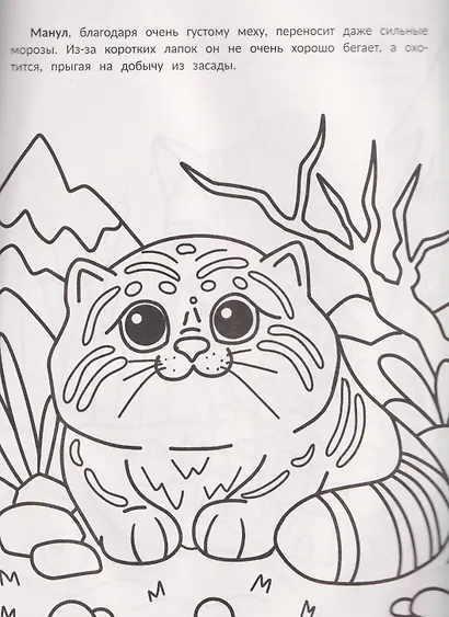 Самые мурчащие: книжка-раскраска - фото 3