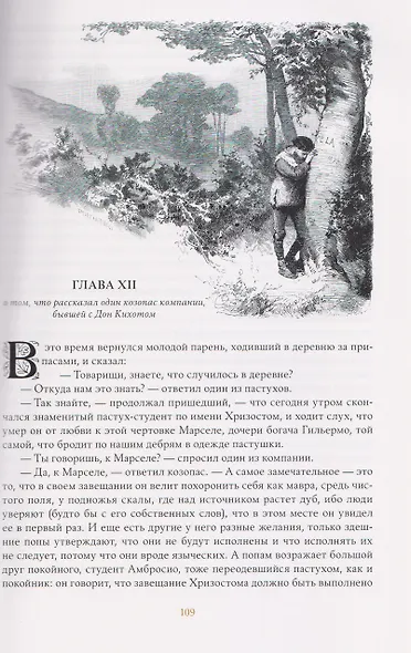 Комплект из 2 книг: Хитроумный Идальго Дон Кихот Ламанчский. Том 1. Том 2 - фото 4