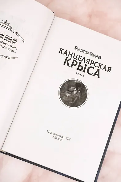 Канцелярская крыса. Том 2 - фото 8