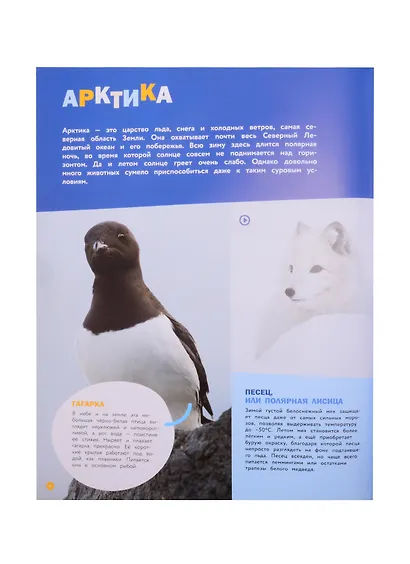 Энциклопедии c фото и видео приложениями. Животные - фото 3