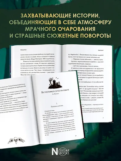 Все оттенки ночи. Страшные и мистические истории из переулков - фото 5