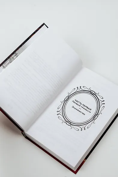 Одинокий замок в зазеркалье - фото 8