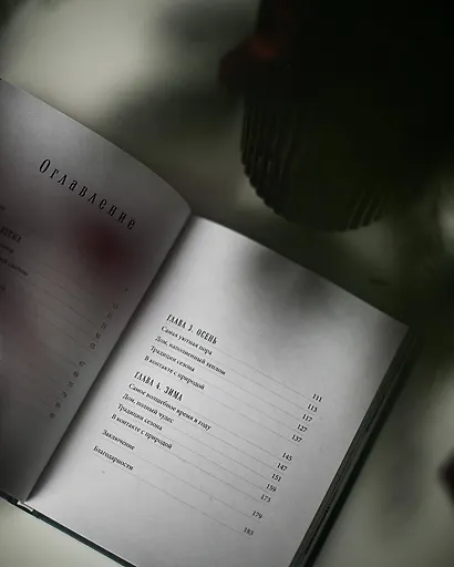 Год простых чудес. Найти опору и вдохновение в красоте повседневности (авторские стикеры внутри) - фото 11