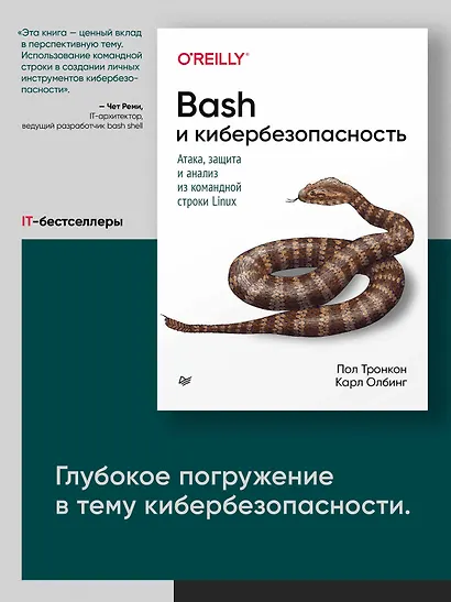 Bash и кибербезопасность: атака, защита и анализ из командной строки Linux - фото 3