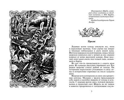 Лес секретов. - фото 2