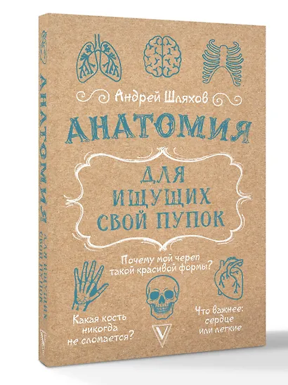 Анатомия для ищущих свой пупок - фото 3