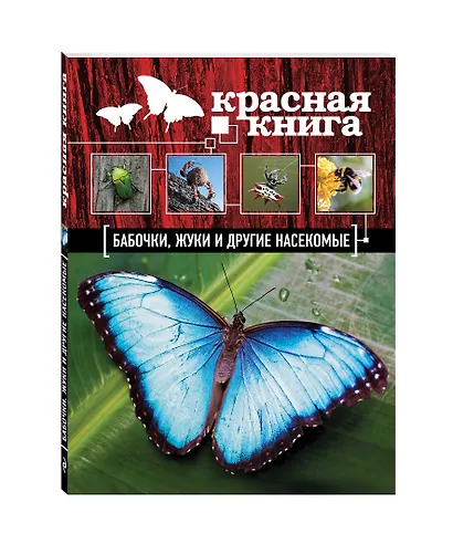 Бабочки, жуки и другие насекомые - фото 3