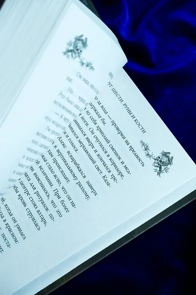 Круг Шести. Руны и кости - фото 13