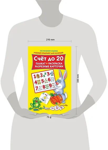 Счет до 20. Плакат, раскраска, разрезные карточки - фото 3