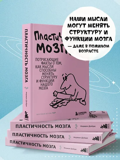 Пластичность мозга. Потрясающие факты о том, как мысли способны менять структуру и функции нашего мозга - фото 5