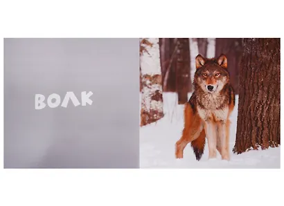 Первые слова. Животные. Фотокнига - фото 3