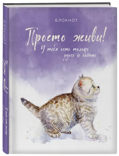 Соберись и не ной. Блокнот для сохранения себя в непростые времена - фото 2