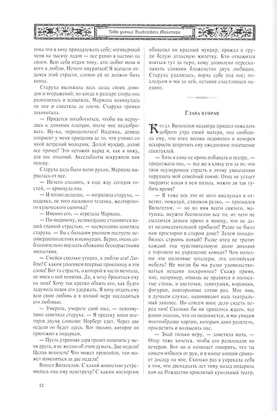 Годы учения Вильгельма Мейстера, т.5 - фото 4