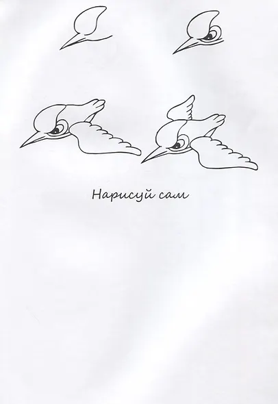 Птицы НС-5-4 - фото 2