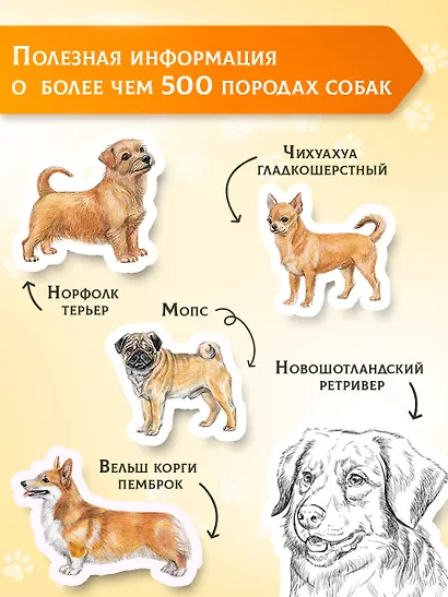 Породы собак Энциклопедия (обложка с терьером) - фото 5