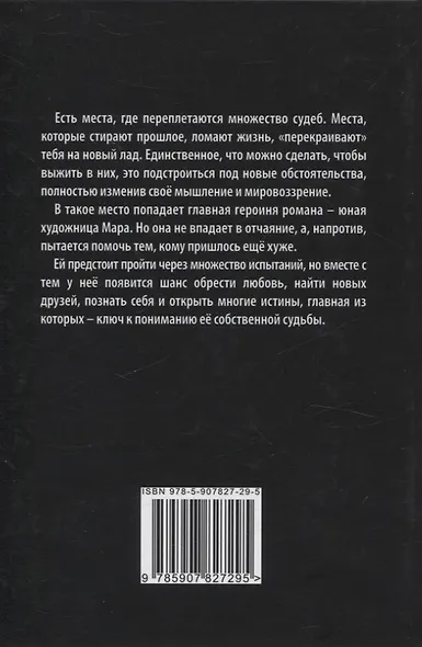 Звездная сборка: роман - фото 2