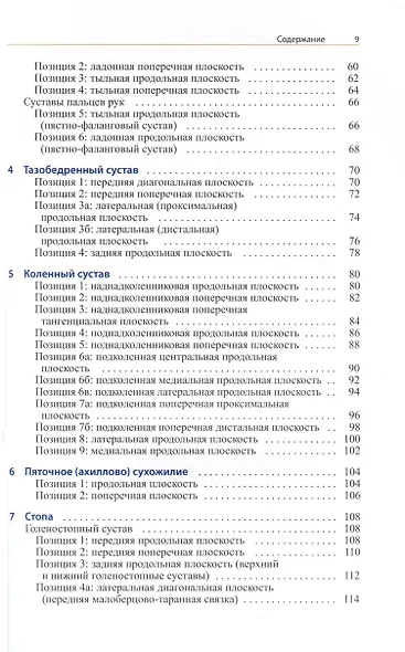 УЗИ опорно-двигательного аппарата. Стандартные плоскости сканирования - фото 3