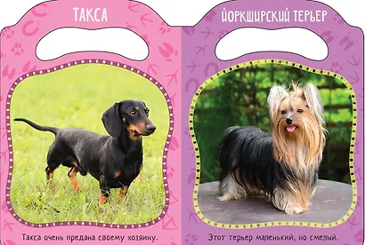 Кто гавкает? - фото 2