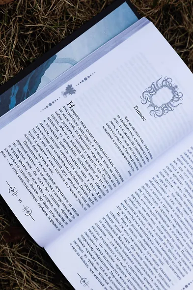 Хребты безумия - фото 12