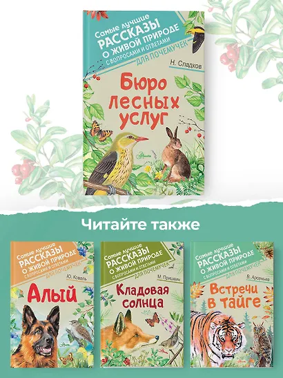 Бюро лесных услуг - фото 8