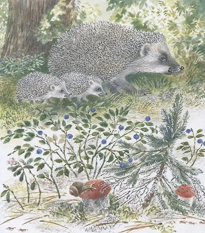 Самый маленький ежик - фото 3