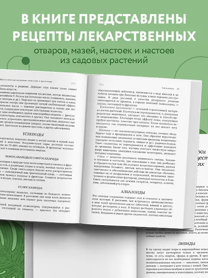Декоративные лекарственные растения на даче. Как выращивать, заготавливать и применять 200 популярных видов - фото 6