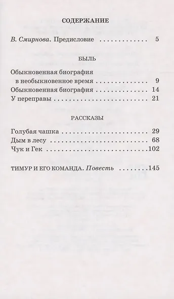 Тимур и его команда - фото 2