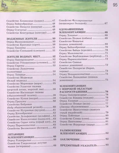 ЭНЦИКЛОПЕДИЯ. ХОЧУ ЗНАТЬ. МЛЕКОПИТАЮЩИЕ - фото 3