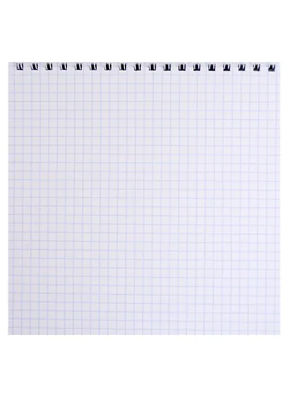 Блокнот 160*160 60л кл. "КОТ С ФОНАРИКАМИ" карт.обл., выб. УФ-лак, спираль - фото 2